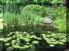 Recent aangelegd 60